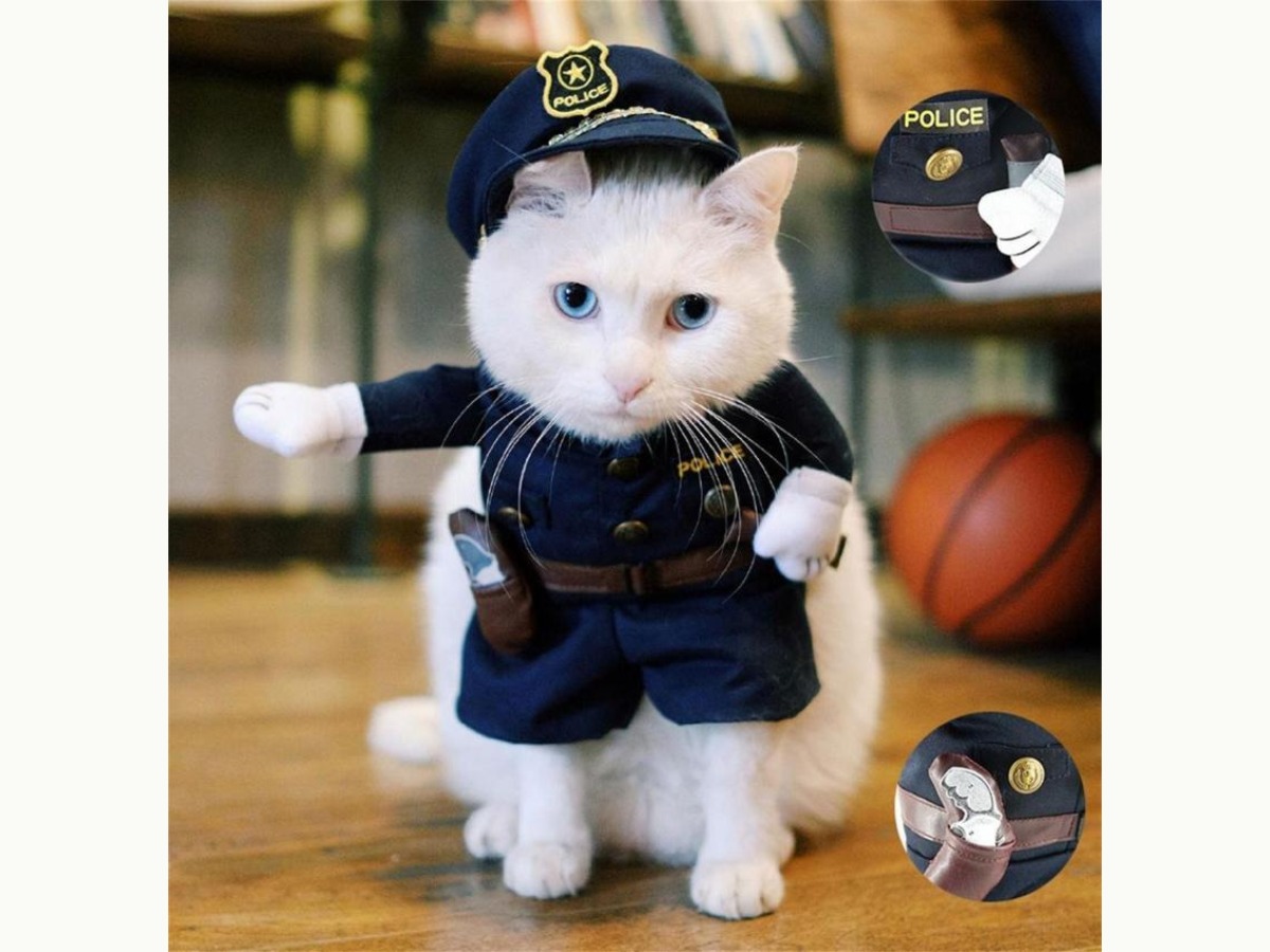 白猫穿着假手警官服的完整效果